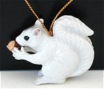 White Squirrel